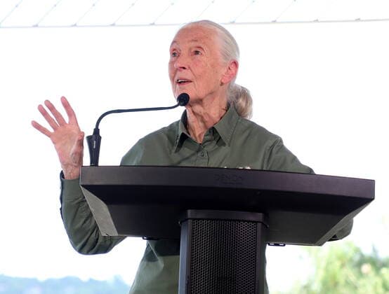 July 7, 2022, Sudbury, ON, CANADA: Dr. Jane Goodall addresses the crowd in Sudbury, Goodall and Prime Minister Justin Trudeau took part in the historic planting of Greater SudburyöÄÃ s 10 millionth tree, in Bell Park, Greater Sudbury, Ont., Thursday, July 7, 2022. Sudbury CANADA - ZUMAc35_ 20220707_zaf_c35_045 Copyright: xGinoxDonatox