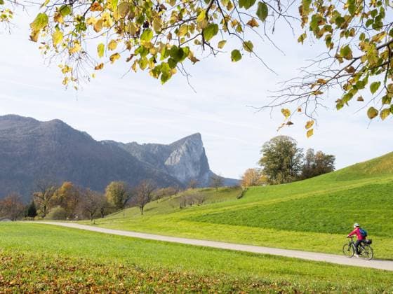 Radfahrerin drives at the Mondsee Bike path, Autumn mood on Mondsee, at the back the dragon wall, at Loibichl, Salzkammergut, Upper Austria, Austria, Europe Copyright: imageBROKER/Karl-HeinzxSchein ibxksc08760973.jpg ,model released, Symbolfoto ,property released