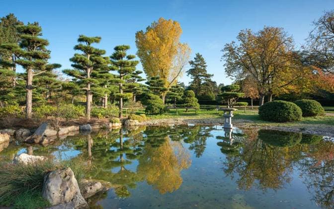 Japanese Garden, Dusseldorf, Germany, Panoramic image of Japanese Garden during autumn, Dusseldorf, Germany, Panoramic image of Japanese Garden during autumn, Dusseldorf, Germany, 02.04.2023, Copyright: xalfotokunstx Panthermedia34051539.jpg