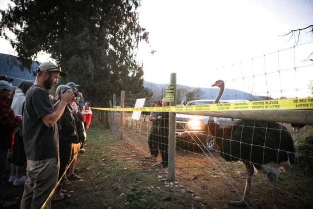 September 22, 2025, Edgewood, Bc, CANADA: Karen Espersen, centre, the co-owner of Universal Ostrich Farms, speaks with supporters with her daughter, Katie Pasitney, at the farm in Edgewood, B.C., on Monday, Sept. 22, 2025, as the Canadian Food Agency prepares to cull 400 of the farmöÄÃ s ostriches this week. Edgewood CANADA - ZUMAc35_ 20250922_zaf_c35_130 Copyright: xAaronxHemensx