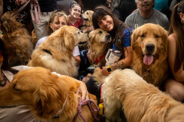 Entertainment Bilder des Tages Golden Retrievers and owners gather for a world record in Buenos Aires BUENOS AIRES, ARGENTINA - DECEMBER 8: Hundreds of owners and their Golden Retrievers gather in an attempt to break the world record for the largest meeting of Goldens, in the Bosques de Palermo, in Buenos Aires, Argentina, on December 8, 2025. The event, organized by influencer Fausto Duperre, brought together more than 1,800 dogs along with their families, breeders, and fans of the breed. To date, the world record was held by Vancouver, Canada, with 1,685 dogs. Cristina Sille Anadolu Buenos Aires Argentina. Editorial use only. Please get in touch for any other usage. Copyright: x2025xAnadoluxCristinaxSillex