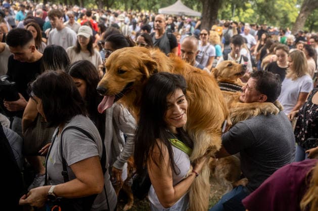 Golden Retrievers and owners gather for a world record in Buenos Aires BUENOS AIRES, ARGENTINA - DECEMBER 8: Hundreds of owners and their Golden Retrievers gather in an attempt to break the world record for the largest meeting of Goldens, in the Bosques de Palermo, in Buenos Aires, Argentina, on December 8, 2025. The event, organized by influencer Fausto Duperre, brought together more than 1,800 dogs along with their families, breeders, and fans of the breed. To date, the world record was held by Vancouver, Canada, with 1,685 dogs. Cristina Sille Anadolu Buenos Aires Argentina. Editorial use only. Please get in touch for any other usage. Copyright: x2025xAnadoluxCristinaxSillex