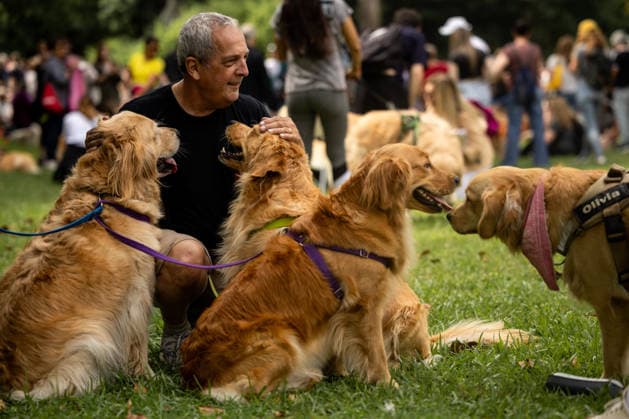 Golden Retrievers and owners gather for a world record in Buenos Aires BUENOS AIRES, ARGENTINA - DECEMBER 8: Hundreds of owners and their Golden Retrievers gather in an attempt to break the world record for the largest meeting of Goldens, in the Bosques de Palermo, in Buenos Aires, Argentina, on December 8, 2025. The event, organized by influencer Fausto Duperre, brought together more than 1,800 dogs along with their families, breeders, and fans of the breed. To date, the world record was held by Vancouver, Canada, with 1,685 dogs. Cristina Sille Anadolu Buenos Aires Argentina. Editorial use only. Please get in touch for any other usage. Copyright: x2025xAnadoluxCristinaxSillex