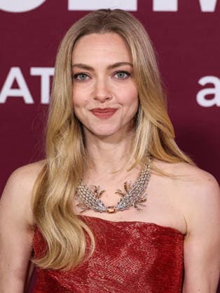 Los Angeles Premiere Of Lionsgate s The Housemaid HOLLYWOOD, LOS ANGELES, CALIFORNIA, USA - DECEMBER 15: American actress Amanda Seyfried wearing Monse PF26, Tiffany & Co. jewelry and Jimmy Choo shoes arrives at the Los Angeles Premiere Of Lionsgate s The Housemaid held at the TCL Chinese Theatre IMAX on December 15, 2025 in Hollywood, Los Angeles, California, United States., Credit:Xavier Collin Avalon United States, California, Hollywood, TCL Chinese Theatre IMAX Copyright: xXavierxCollinx xAvalonx 1059629695