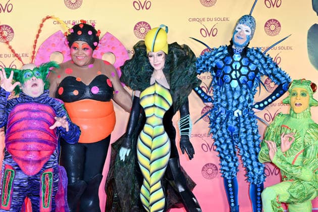 Premiere, Cirque du Soleil, Arrivals, London, UK. 14 January 2026. London, UK, 14 January 2026. Performers pose on the red carpet at the UK Premiere of the Cirque du Soleil production of OVO at the Royal Albert Hall, London, UK., Credit:Lee Floyd Avalon UK, London, Royal Albert Hall Copyright: xLeexFloydx xAvalonx 1066141286