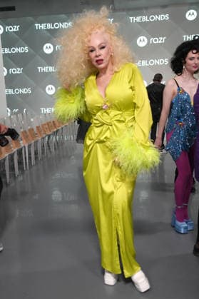 September 14, 2026, New York, Ny, USA: DIANE BRILL attends The Blonds SS27 20th Anniversary Runway Show,.641 West 42 St, NYC.September 14, 2026. . The Blonds SS27 20th Anniversary Runway Show,.641 West 42 St, NYC.September 14, 2026. New York USA - ZUMAms4_ 20260914_faf_ms4_008 Copyright: xSoniaxMoskowitzxGordonx