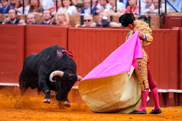 Fourth Regular Bullfight of the San Miguel Fair in Seville: Morante de la Puebla during the fourth regular bullfight of the San Miguel Fair at the Real Maestranza de Caballería On September 27, 2026, in Seville, Andalusia, Spain, Morante de la Puebla, Daniel Luque, and Borja Jiménez fought bulls from the Garcigrande ranch during the fourth subscription bullfight of the San Miguel Fair, September 27, 2026, in Seville, Andalusia, Spain Copyright: xJoaquinxCorcherox 7804630