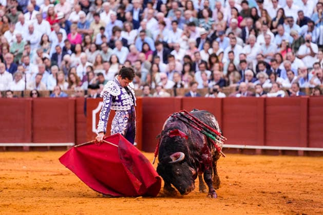 Fourth Regular Bullfight of the San Miguel Fair in Seville: Daniel Luque during the fourth regular bullfight of the San Miguel Fair at the Real Maestranza de Caballería on September 27, 2026, in Seville, Andalusia, Spain. Morante de la Puebla, Daniel Luque, and Borja Jiménez fought bulls from the Garcigrande ranch during the fourth subscription bullfight of the San Miguel Fair, September 27, 2026. Joaquí, Seville, Andalusia, Seville, Andalusia, Spain Copyright: xJoaquinxCorcherox 7804680