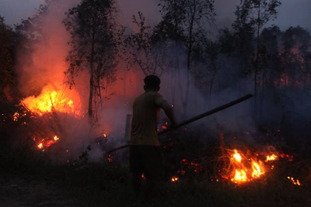 Wildfires rage Indonesia s Palembang PALEMBANG, INDONESIA - SEPTEMBER 28 : A local resident try to extinguish wildfires near his house at Sematang Borang district in Palembang, South Sumatera, Indonesia on September 28, 2026. For weeks, Indonesia has been battling fires that have burned vast swathes of forest and peat ecosystems, causing toxic haze to blanket parts of the country, Malaysia and Singapore. Some 175,000 people in Indonesia have suffered from respiratory illness since August, its health ministry said, as it continues to battle wildfires that have raged for weeks. Muhammad Fajri Anadolu Palembang Indonesia. Editorial use only. Please get in touch for any other usage. Copyright: x2026xAnadoluxMuhammadxFajrix