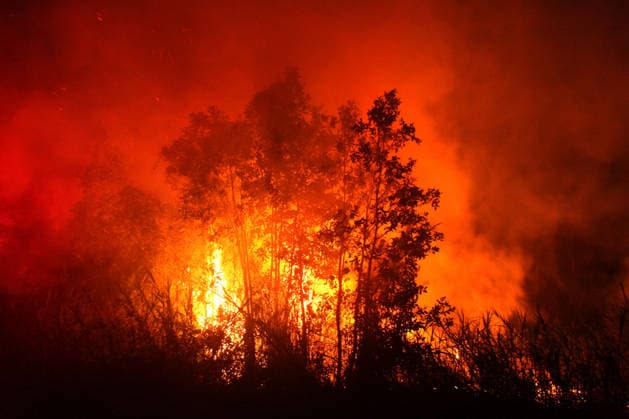 Wildfires rage Indonesia s Palembang PALEMBANG, INDONESIA - SEPTEMBER 28 : A wildfire are seen at Sematang Borang district in Palembang, South Sumatera, Indonesia on September 28, 2026. For weeks, Indonesia has been battling fires that have burned vast swathes of forest and peat ecosystems, causing toxic haze to blanket parts of the country, Malaysia and Singapore. Some 175,000 people in Indonesia have suffered from respiratory illness since August, its health ministry said, as it continues to battle wildfires that have raged for weeks. Muhammad Fajri Anadolu Palembang Indonesia. Editorial use only. Please get in touch for any other usage. Copyright: x2026xAnadoluxMuhammadxFajrix