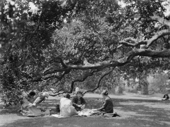 IMAGO Arnold Genthe Archive, USA, University of California at Berkeley 1927
