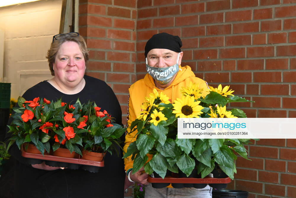 Hamburg Harburg the 06 05 2020 pop singer Peter Sebastian donates 350 potted plants to the Harburger Tafel on Mothers Day These were donated by Hans Eibl from Berlin Peter Sebastian has been patron and godfather of the Harburger Tafel for many years Bildinfo co-worker Sabine Pina, board member of the Tafel packs while distributing the flowers of Peter Sebastian