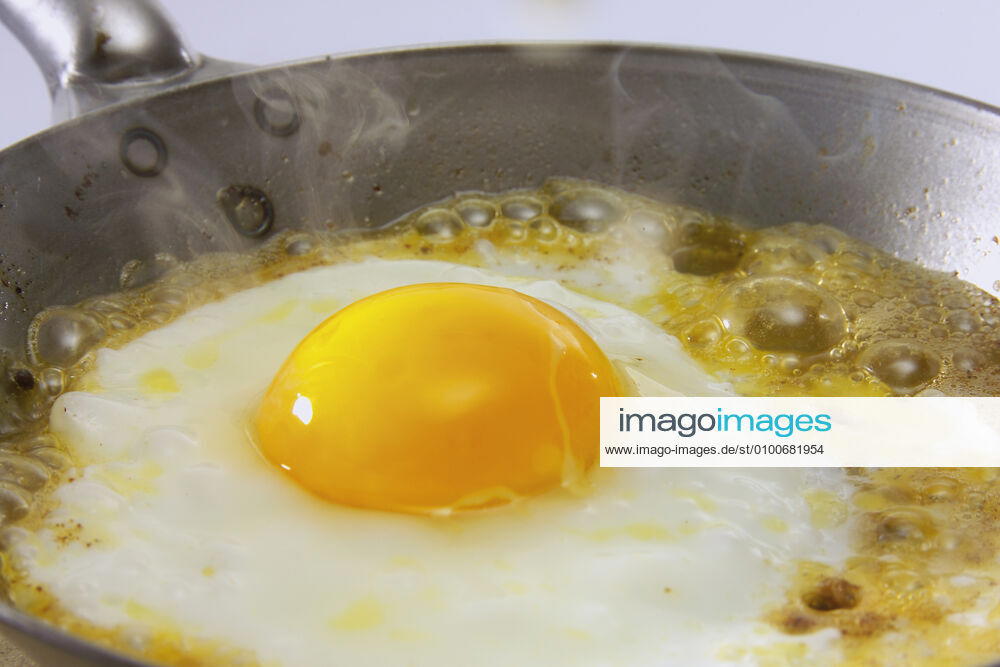 Fried egg fmy-fq5