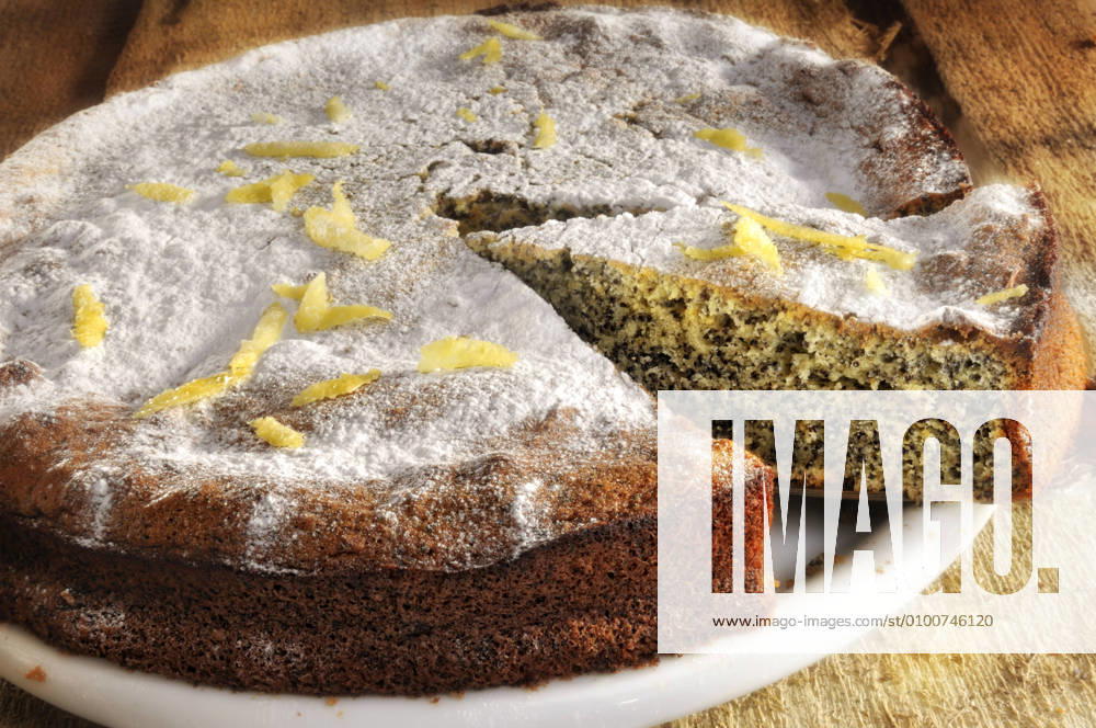Piece of cake,poppy seed cake gy6-144