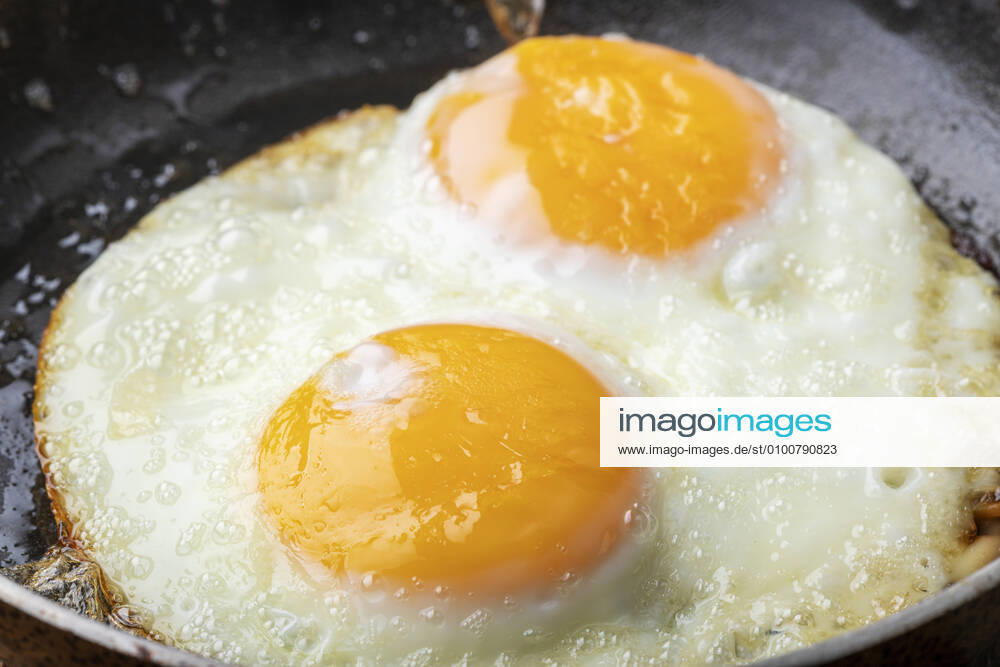 Fried egg jb1-l86