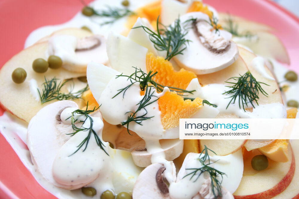 Egg salad k55-fc