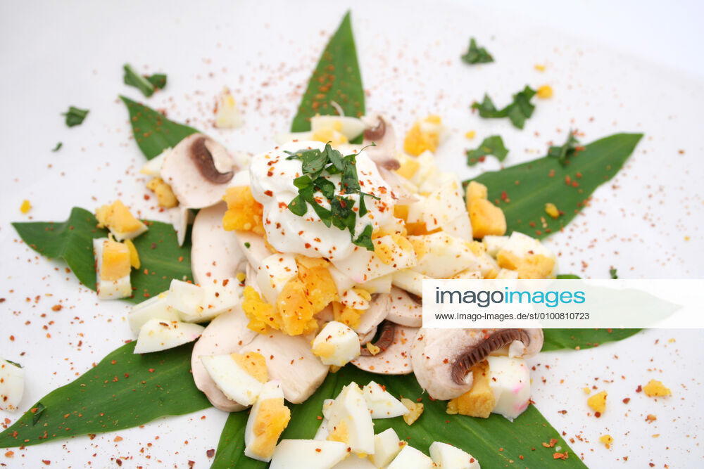 Appetizer,egg salad k55-q8