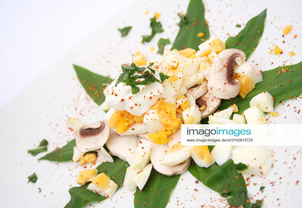 Appetizer,egg salad k55-qb