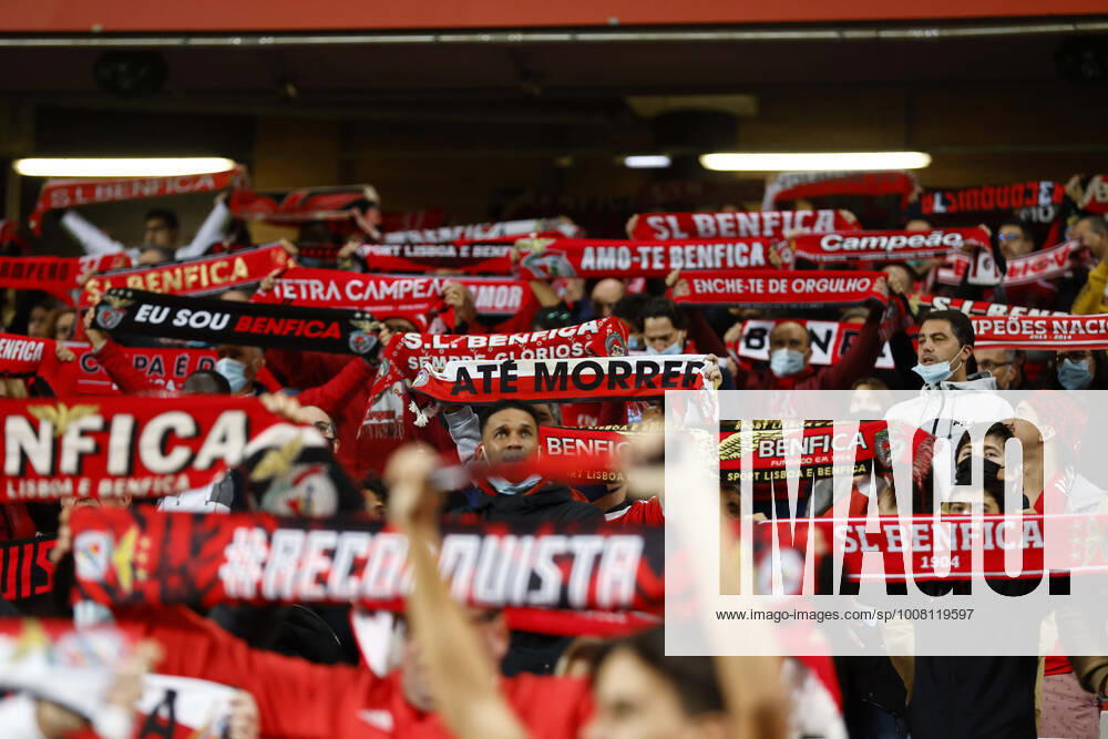SL Benfica V Pacos Ferreira FC - Taca De Portugal SL Benfica supporters during the match for Taca de Portugal between SL Benfica and Pacos de Ferreira, at Estadio da Luz, Lisboa, Portugal, 19, November, 2021 Lisbon Portugal