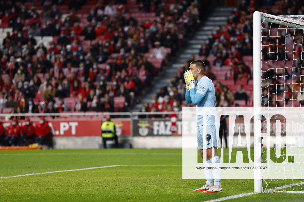 SL Benfica V Pacos Ferreira FC - Taca De Portugal Igor Vekic gives instructions during the match for Taca de Portugal between SL Benfica and Pacos de Ferreira, at Estadio da Luz, Lisboa, Portugal, 19, November, 2021 Lisbon Portugal