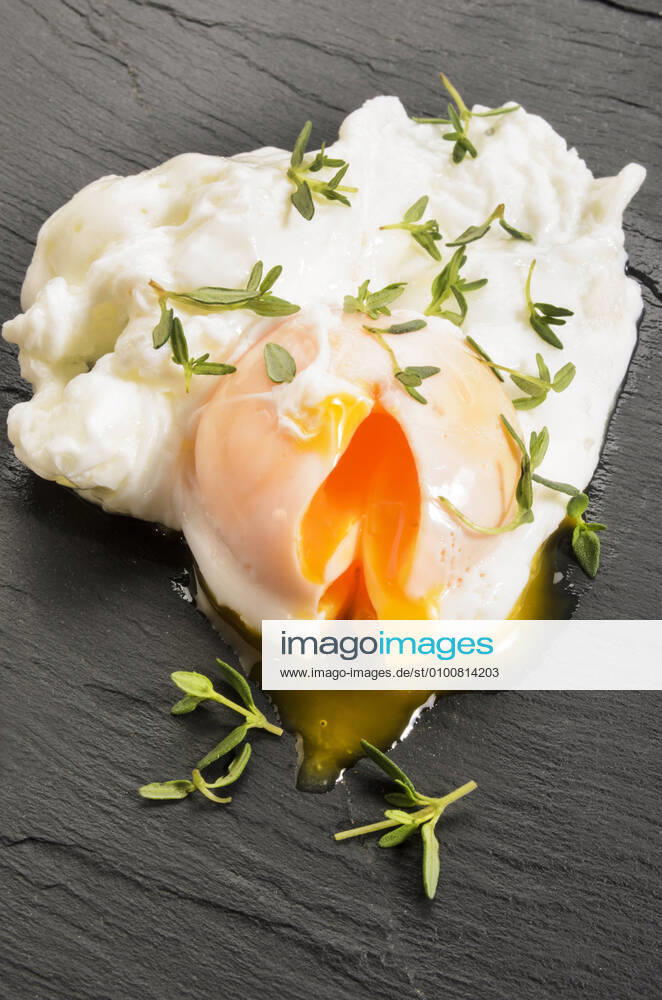 Egg,poached k98-k63