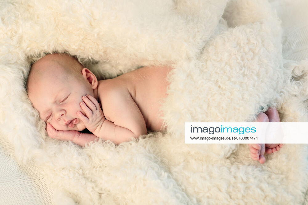 Sleeping,newborn,lambskin lqs-kwy,model released, Symbolfoto