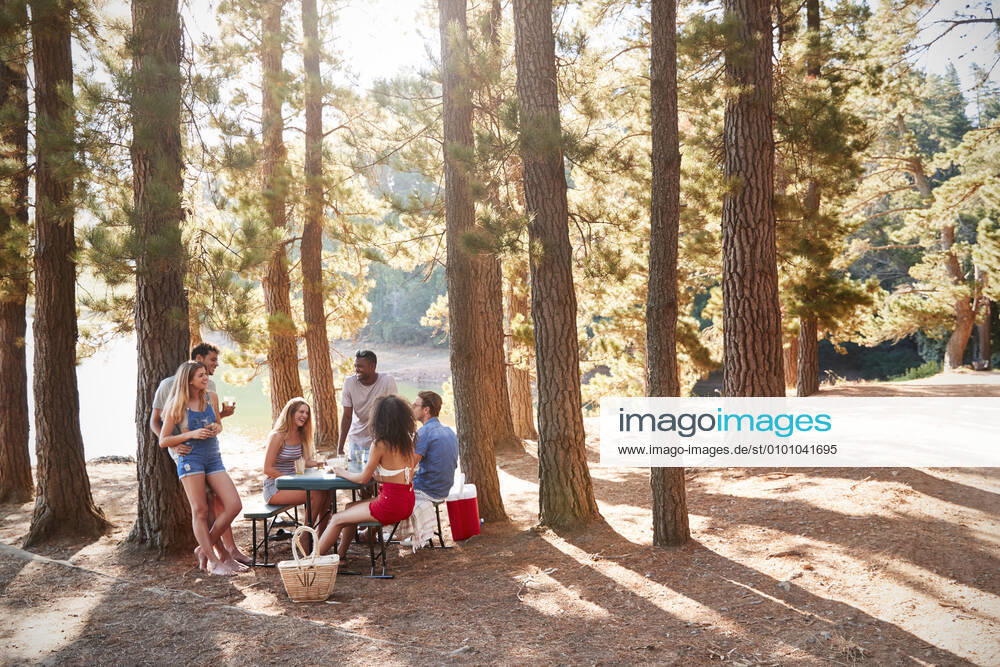 Picnic,excursion,friends mmq-vj5,model released, Symbolfoto