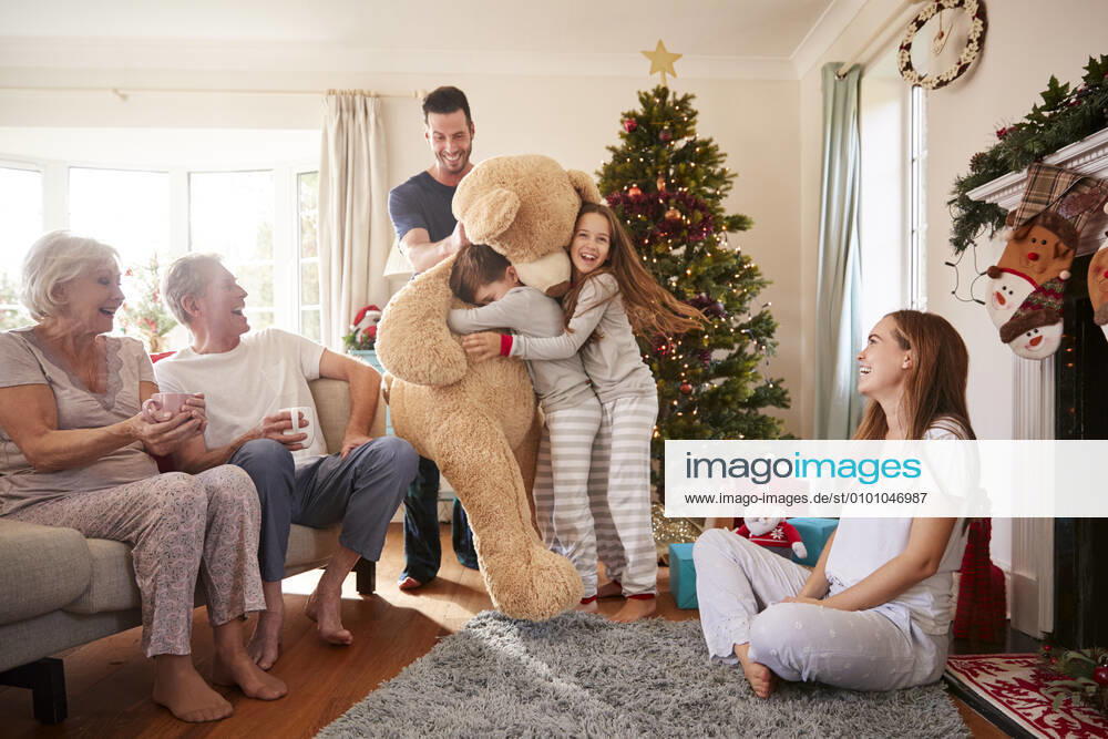 Joy,teddy bear,christmas present mmq-wum,model released, Symbolfoto