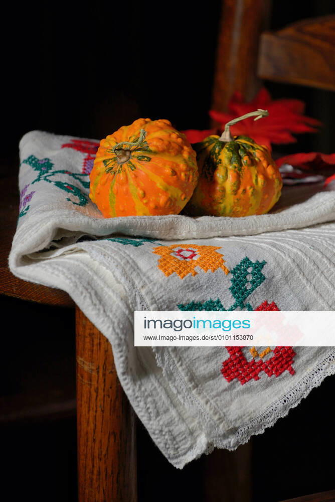 Still life,ornamental gourd,autumn decoration pr8-jly