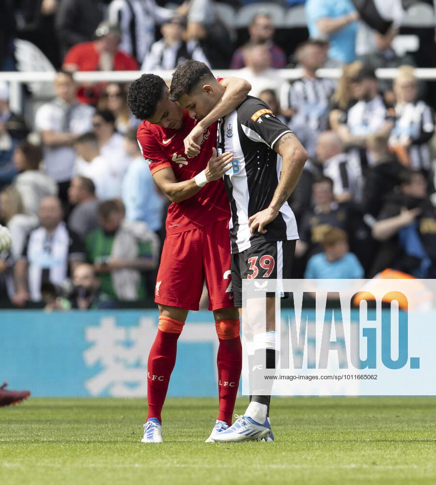 Football - 2021 2022 Premier League - Newcastle United vs Liverpool - St James Park - Saturday 30th April 2022 Luis Diaz of Liverpool F.C and Bruno Guimaraes of Newcastle United at full time