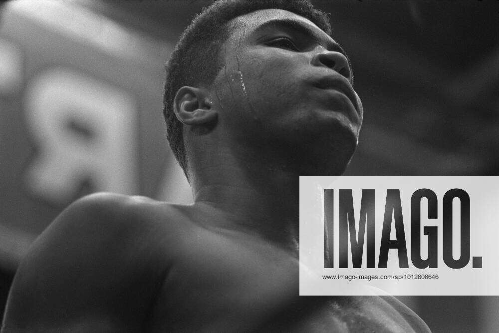 Muhammad ALI aka Cassius CLAY USA, li , boxing, heavyweight, fighting Karl MILDENBERGER, Germany, portraet, portrait, cropped single image, single subject, with drops of sweat, action black and white shot, Qf