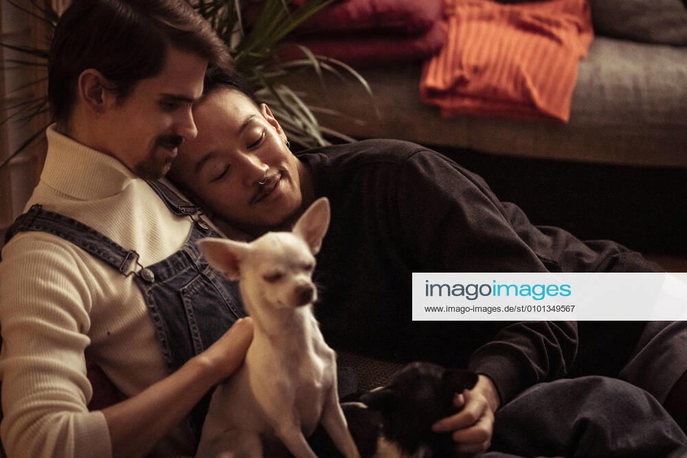 IMAGO Creative: Pride Month, Juni 2022, Pärchen und Familien Gay male inter-racial couple cuddle and smile with dogs at home CR_PIDODS200410A-326454-01,model released, Symbolfoto