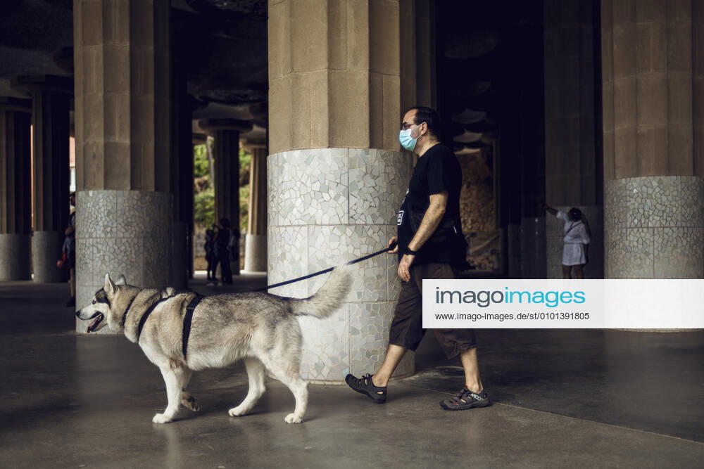 A commuter walks his dog between the doric columns at Gaud s Parc Guell, one of Barcelona s tourist hot spots, during the second phase of a gradual way to the new normal rolling back a nearly seven weeks long nationwide strict lockdown due to the spread of the corona virus. Barcelona continues in the second of four phases as one of the last territories permitting the restricted reopening of parks, museums, libraries, shops and bar terraces among other measures of ease. Barcelona Spain - ZUMAo105 20200601_zap_o105_008