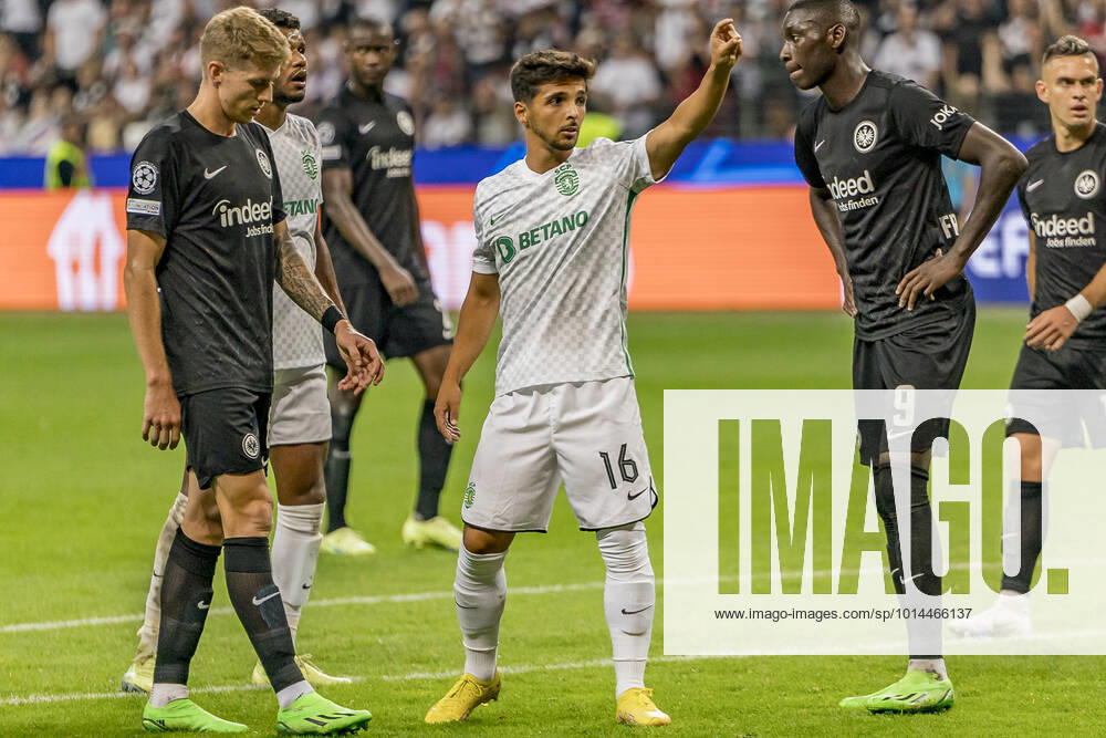 Champions League Eintracht Frankfurt Sporting Lisbon, Deutsche Bank Park, Frankfurt, 06 09 2022 Rochinha Sporting Lisbon 16 , Eintracht Frankfurt Sporting Lisbon, Frankfurt, Deutsche Bank Park