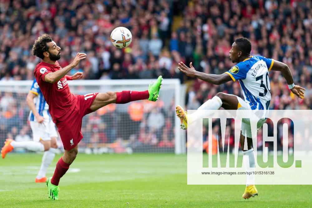 KW39 Football - 2022 2023 Premier League - Liverpool vs Bright & Hove Albion - Anfield - Saturday 1st October 2022 Liverpool s Mohamed Salahv battles with Brighton Hove & Albion Pervis Estupinan COLORSPORT Terry Donnelly