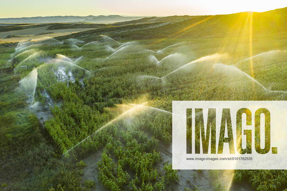 IMAGO Creative: Corporate: Klimaschutz, Digitalisierung und Urbanisierung IMAGO Creative: Klimawandel - Zukunft und Innovation Farmland with watering. Aerial view. Navarre, Spain, Europe. Navarre Spain