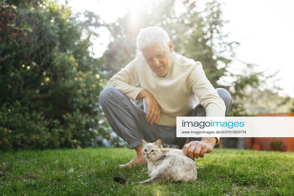 Senior man brushing cat in garden model released Symbolfoto property released AFVF06407