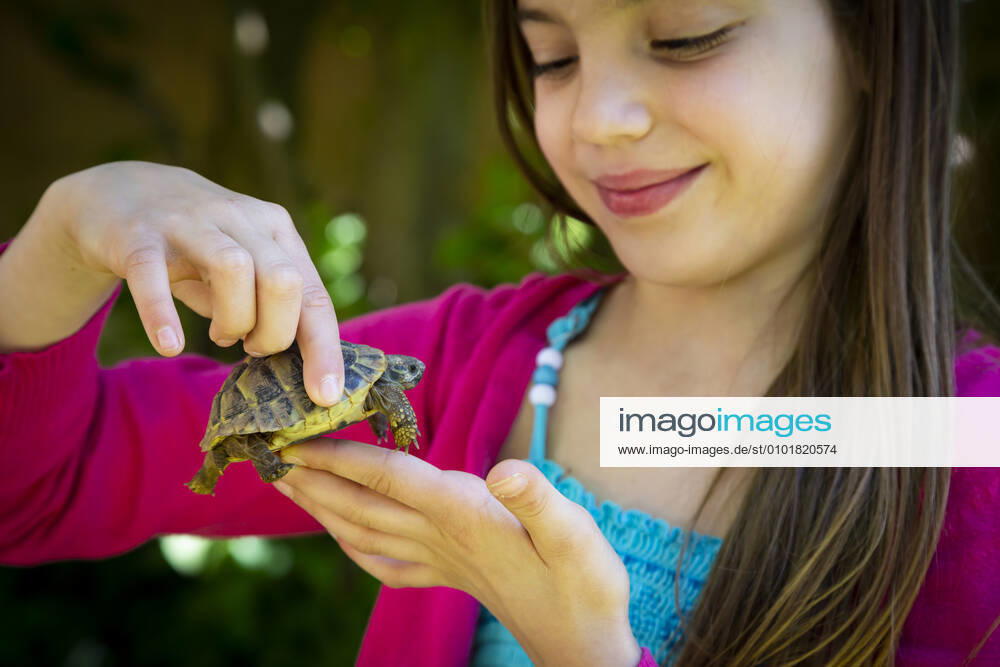 Smiling girl s hands holding small tortoise model released Symbolfoto property released LVF08900