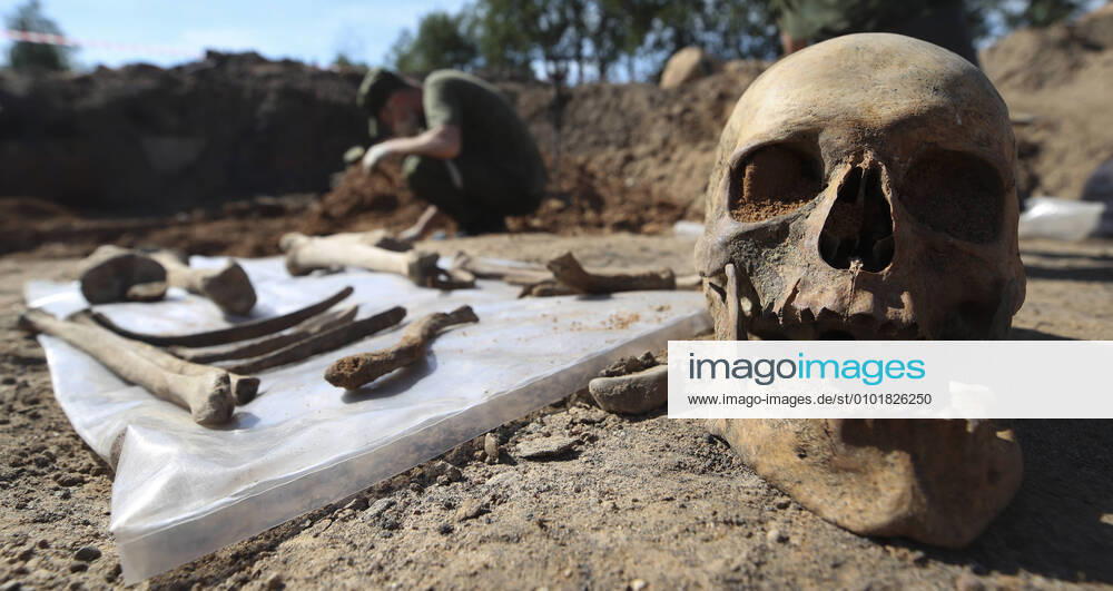KW26 MINSK, BELARUS â€“ JUNE 25, 2020: Servicemen of the Belarusian Army 52nd Special Search Battalion carry out excavation work at the burial site of victims of Stalag 352 Minsk, a Nazi camp for Soviet prisoners-of-war, in Masyukovshchina, Minsk. Stalag 352 Minsk included two sites and existed during World War II from 1941 to 1944. Scores of thousands of Soviet prisoners-of-war are believed to have died in the camp. Natalia Fedosenko TASS ; NO COMMERCIAL USE; NO ADVERTISING TS0DE088