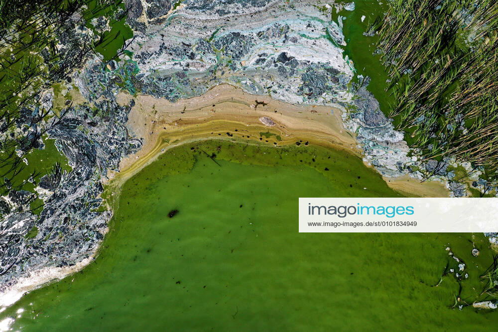 An aerial view of toxic blue-gren algae bloom on the Baltic Sea coast at Tyreso near Stockholm, Sweden, on June 25, 2020. STOCKHOLM SWEDEN