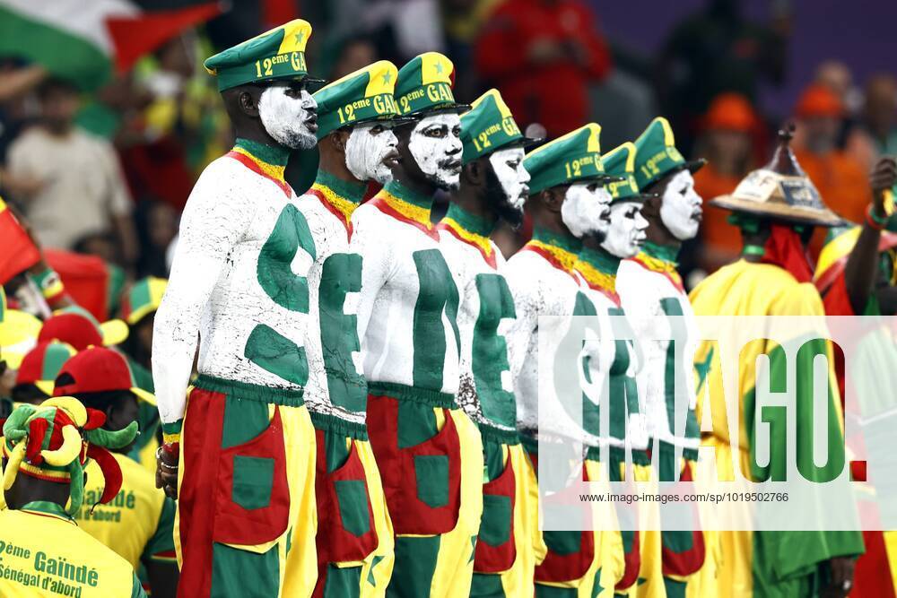 DOHA Supporters of Senegal during the FIFA World Cup Qatar 2022 group A match between Senegal and Netherlands at Al Thumama Stadium on November 21, 2022 in Doha, Qatar ANP MAURICE VAN STONE FIFA World Cup Qatar 2022 2022 ANPxSportx IVx 458168235 originalFilename: 458168235