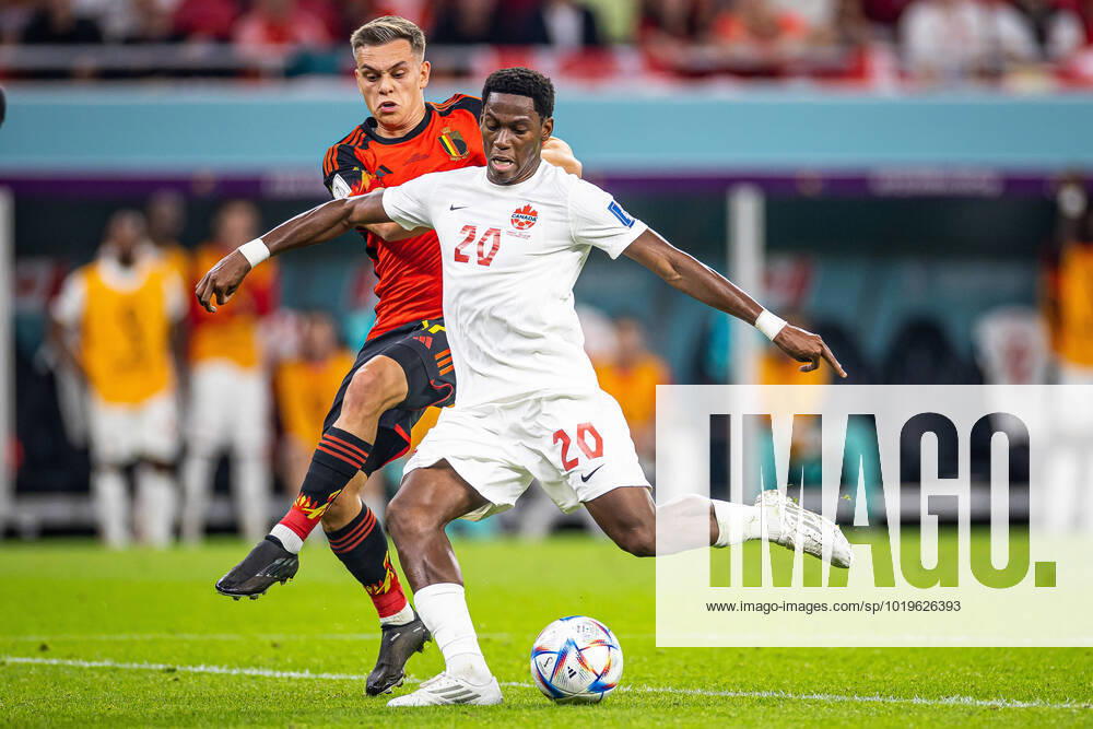 DOHA, KATAR, AHMAD BIN ALI STADIUM, PILKA NOZNA MISTRZOSTWA SWIATA W PILCE NOZNEJ KATAR 2022 ( FIFA World Cup, WM, Weltmeisterschaft, Fussball QATAR 2022 ) MECZ BELGIA - KANADA GAME BELGIUM - CANADA NZ JONATHAN DAVID FOTO LUKASZ SKWIOT CYFRASPORT NEWSPIX.PL --- Newspix.pl 20221123CSLS191