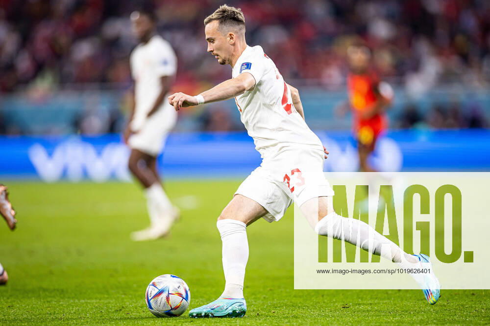 DOHA, KATAR, AHMAD BIN ALI STADIUM, PILKA NOZNA MISTRZOSTWA SWIATA W PILCE NOZNEJ KATAR 2022 ( FIFA World Cup, WM, Weltmeisterschaft, Fussball QATAR 2022 ) MECZ BELGIA - KANADA GAME BELGIUM - CANADA NZ LIAM MILLAR FOTO LUKASZ SKWIOT CYFRASPORT NEWSPIX.PL --- Newspix.pl 20221123CSLS199