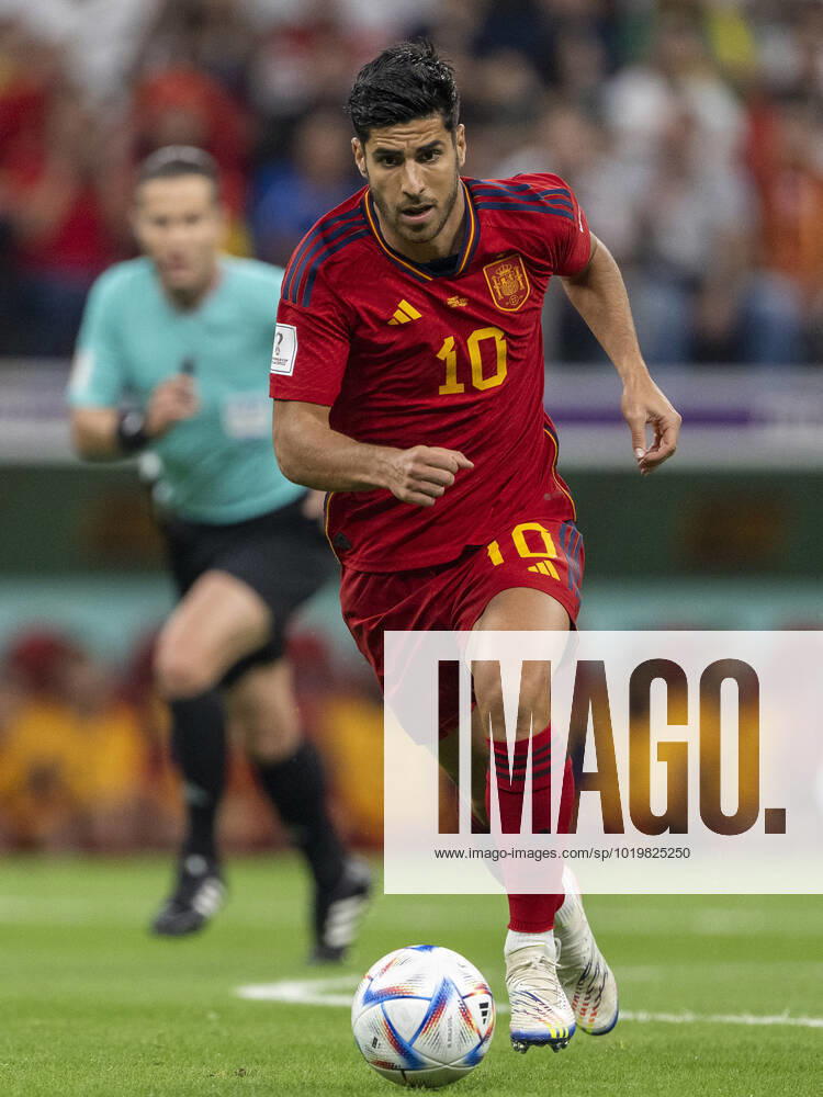 Spain vs germany AL-KHOR, AK - 27.11.2022: SPAIN VS GERMANY - Marco Asensio of Spain during the match between Spain and Germany, valid for the group stage of the World Cup, held at Al Bayt Stadium in Al-Khor, Qatar. (Photo: Richard Callis Fotoarena) x2300492x RichardxCallis