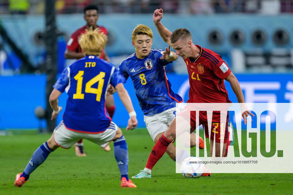 Junya Ito and Ritsu Doan of Japan against Dani Olmo of Spain during the FIFA World Cup 2022 football match between Japan and Spain on December 1, 2022 in Doha Photo Joel Marklund BILDBYRAN code JM JM0398 bbeng football football soccer fotball vm fotbols vm fotball vm fotbols world cup 2022 fifa world cup 2022 japan spain spain,