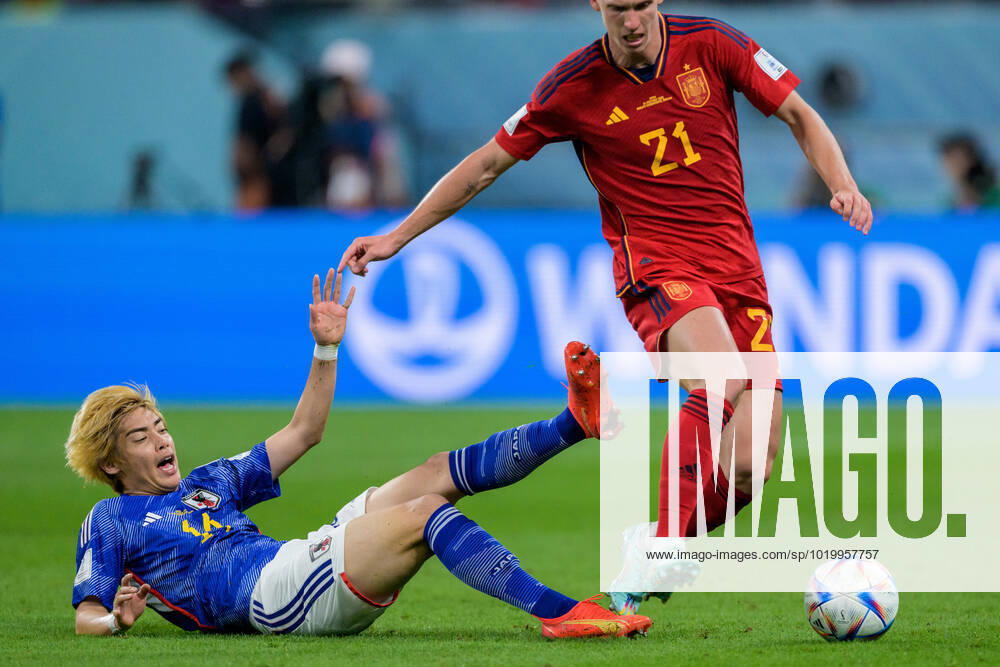 Junya Ito of Japan and Dani Olmo of Spain during the FIFA World Cup 2022 football match between Japan and Spain on December 1, 2022 in Doha Photo Joel Marklund BILDBYRAN code JM JM0398 bbeng football football soccer fotball world cup football world cup football world cup 2022 fifa world cup 2022 japan spain spain,