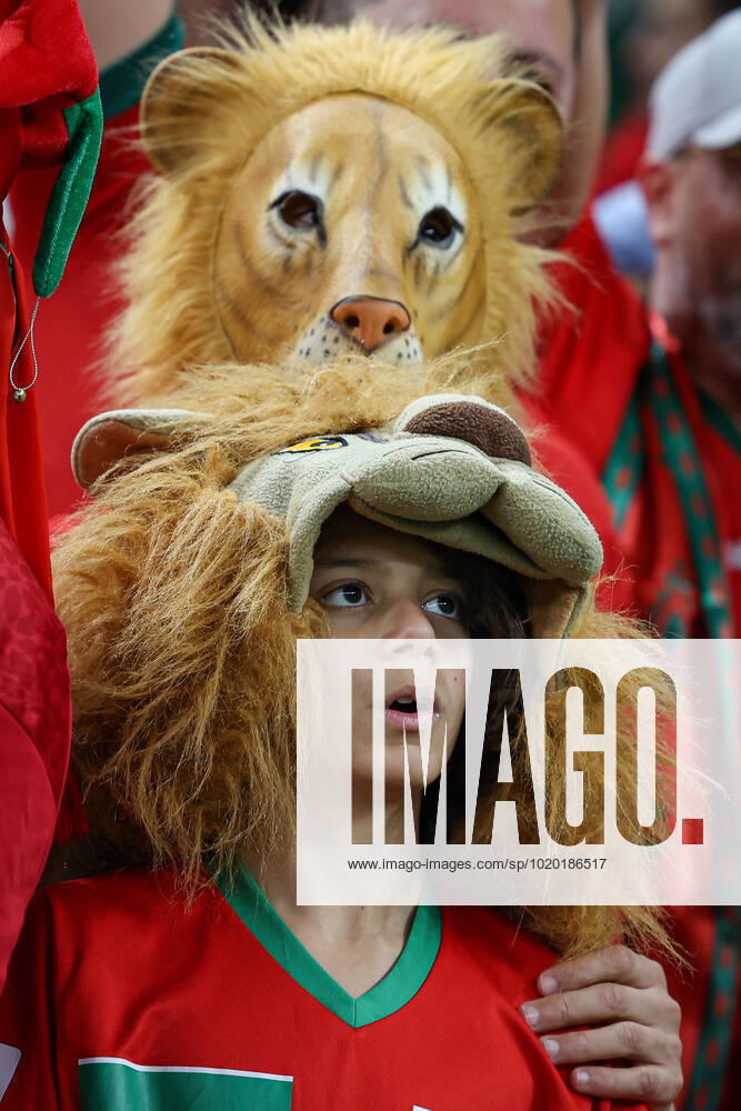 Morocco vs portugal DOHA, CA - 10.12.2022: MOROCCO VS PORTUGAL - Morocco fans during the match between Morocco and Portugal, valid for the quarterfinals of the World Cup, held at the Al Thumama Stadium in Doha, Qatar. (Photo: Rodolfo Buhrer La Imagem Fotoarena) x2308665x RodolfoxBuhrer