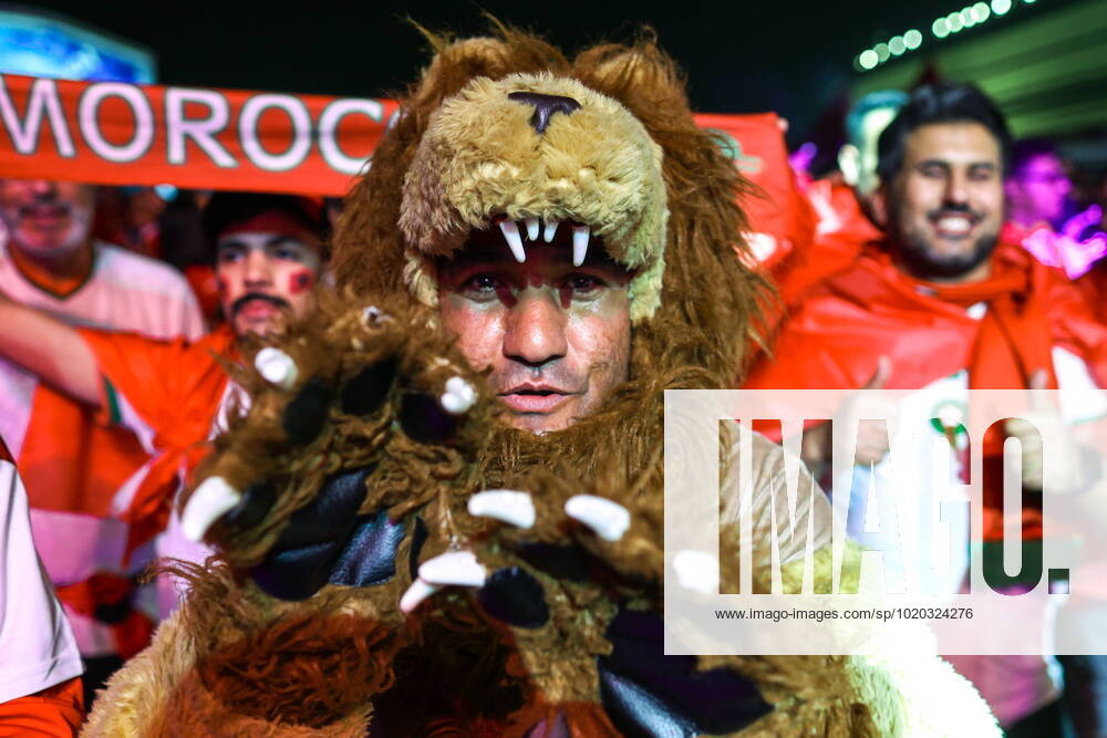 QATAR, AL KHOR - DECEMBER 14, 2022: Morocco s supporters cheer before their 2022 FIFA World Cup, WM, Weltmeisterschaft, Fussball semi-final football match against France at Al-Bayt Stadium. Sergei Bobylev TASS 56418366