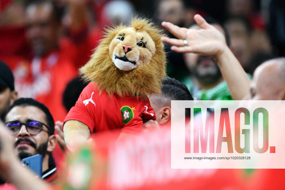 Football World Cup, men, Qatar 2022, 2 semifinals, Al Bayt Stadium, France Morocco fans Morocco fan, fans, fan culture, enthusiasm FIFA REGULATES PROHIBIT ANY USE OF PHOTOGRAPHS AS IMAGE SEQUENCES AND OR QUASI VIDEO
