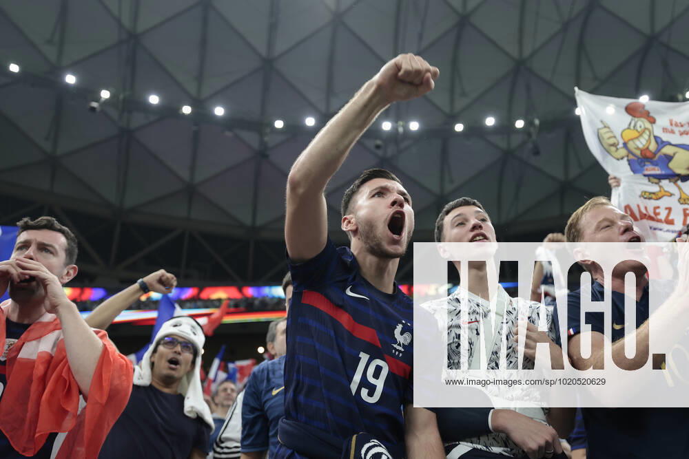 French fans attend the Qatar 2022 World Cup final between Argentina and France at the Lusail stadium today, Qatar 18 December 2022. Soccer World Cup 2022: Argentina - France !ACHTUNG: NUR REDAKTIONELLE NUTZUNG!